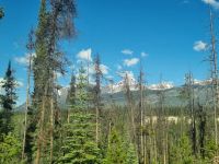 Impressionen aus den Rockies (315) &ndash; &copy; Marcus Hasselhorst (Eberhardt TRAVEL)