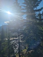 Impressionen aus den Rockies (249) &ndash; &copy; Marcus Hasselhorst (Eberhardt TRAVEL)