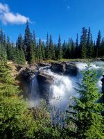 Impressionen aus den Rockies (253) &ndash; &copy; Marcus Hasselhorst (Eberhardt TRAVEL)