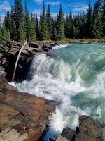 Impressionen aus den Rockies (270) &ndash; &copy; Marcus Hasselhorst (Eberhardt TRAVEL)