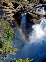 Impressionen aus den Rockies (269) &ndash; &copy; Marcus Hasselhorst (Eberhardt TRAVEL)
