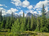 Impressionen aus den Rockies (14) &ndash; &copy; Marcus Hasselhorst (Eberhardt TRAVEL)