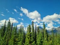 Impressionen aus den Rockies (21) &ndash; &copy; Marcus Hasselhorst (Eberhardt TRAVEL)