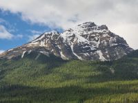 Impressionen aus den Rockies (45) &ndash; &copy; Marcus Hasselhorst (Eberhardt TRAVEL)