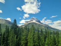 Impressionen aus den Rockies (196) &ndash; &copy; Marcus Hasselhorst (Eberhardt TRAVEL)