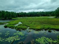 Die Weiten Ontarios (10) &ndash; &copy; Marcus Hasselhorst (Eberhardt TRAVEL)