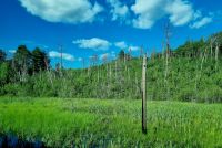 Die Weiten Ontarios (21) &ndash; &copy; Marcus Hasselhorst (Eberhardt TRAVEL)