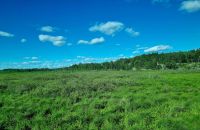 Die Weiten Ontarios (24) &ndash; &copy; Marcus Hasselhorst (Eberhardt TRAVEL)