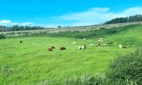 Landschaftspanorama (13) &ndash; &copy; Marcus Hasselhorst (Eberhardt TRAVEL)