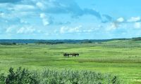 Landschaftspanorama (14) &ndash; &copy; Marcus Hasselhorst (Eberhardt TRAVEL)