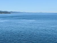 13. Tag – Fakultativer Ausflug nach Vancouver Island – Überfahrt mit Orca-Sichtung &ndash; &copy; Andreas Wolfsteller (Eberhardt TRAVEL)