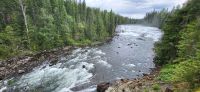 68 Dawson Falls  &ndash; &copy; Susanne Schirmann (Eberhardt TRAVEL)