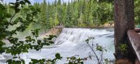 70 Dawson Falls 
