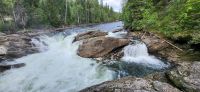 74 Wells Gray Nationalpark &ndash; &copy; Susanne Schirmann (Eberhardt TRAVEL)