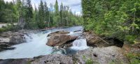 75 Wells Gray Nationalpark &ndash; &copy; Susanne Schirmann (Eberhardt TRAVEL)