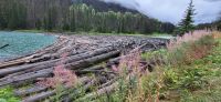 112 Duffy Lake &ndash; &copy; Susanne Schirmann (Eberhardt TRAVEL)