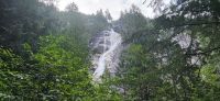 118 Shannon Falls &ndash; &copy; Susanne Schirmann (Eberhardt TRAVEL)