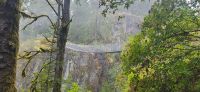 139 Hängebrücke Elk Falls