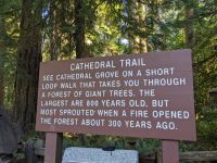 136. MacMillan Provincial Park, Vancouver Island &ndash; &copy; Teresa Rumpel (Eberhardt TRAVEL)