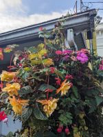 162. Zwischenstopp in Chemainus &ndash; &copy; Teresa Rumpel (Eberhardt TRAVEL)