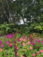 189. Queen Elizabeth Park, Vancouver &ndash; &copy; Teresa Rumpel (Eberhardt TRAVEL)