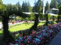 P1010479.JPG, in den Butchart Gardens &ndash; &copy; Claudia Hartwich (Eberhardt TRAVEL)