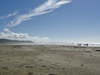 15. Tag – Pacific Rim National Park Reserve – 2. Aufenthalt am Long Beach