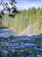 Die Dawson Faelle mit Regenbogen &ndash; &copy; Elisabeth Fox-Maerki (Eberhardt TRAVEL)