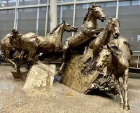 Calgary Pferde gruessen am Flughafen