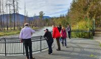 Ausflug zum Laichplatz der Lachse am Adams River &ndash; &copy; Kristin Weigel (Eberhardt TRAVEL)