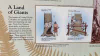 So haben die First Nations Bäume ohne Axt gefällt &ndash; &copy; Kristin Weigel (Eberhardt TRAVEL)