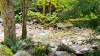 Kleine Wanderung zu den Shannon Falls