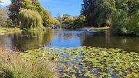 Stadtpark in Victoria