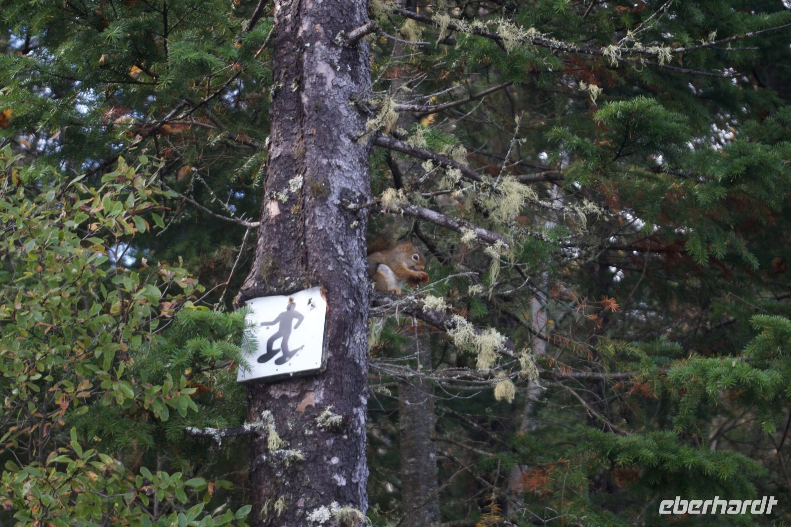 Lac Taureau &ndash; &copy; Leon Prinz (Eberhardt TRAVEL)