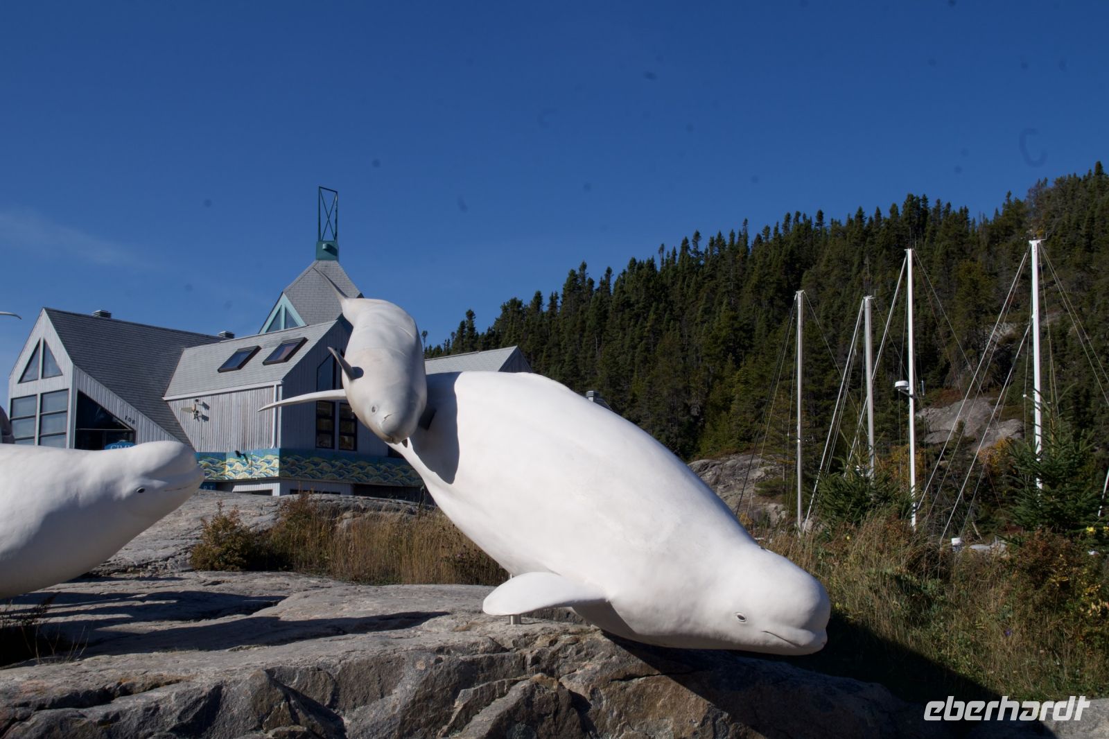 Meerestiermuseum Tadoussac &ndash; &copy; Leon Prinz (Eberhardt TRAVEL)