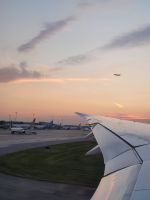 Heimflug &ndash; &copy; Leon Prinz (Eberhardt TRAVEL)