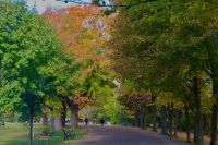 Montmorency Park &ndash; &copy; Leon Prinz (Eberhardt TRAVEL)