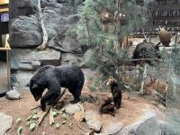 Algonquin Besucherzentrum &ndash; &copy; Leon Prinz (Eberhardt TRAVEL)