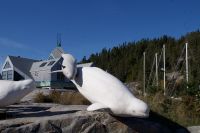 Meerestiermuseum Tadoussac &ndash; &copy; Leon Prinz (Eberhardt TRAVEL)