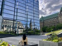 Spiegelungen in Ottawa