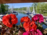 Auf Toronto Island &ndash; &copy; Elisabeth Fox-Maerki (Eberhardt TRAVEL)