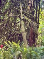 Wer sieht den kleinen roten Mann ? &ndash; &copy; Elisabeth Fox-Maerki (Eberhardt TRAVEL)