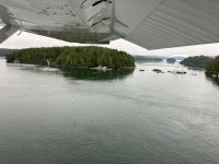 Vor Tofino  &ndash; &copy; Elisabeth Fox-Maerki (Eberhardt TRAVEL)