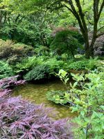 Der perfekte Japanische Garten &ndash; &copy; Elisabeth Fox-Maerki (Eberhardt TRAVEL)