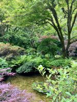 Der perfekte Japanische Garten &ndash; &copy; Elisabeth Fox-Maerki (Eberhardt TRAVEL)