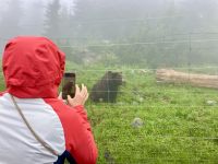 No comment &ndash; &copy; Elisabeth Fox-Maerki (Eberhardt TRAVEL)
