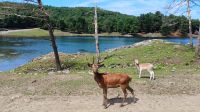 Omega Wildpark  &ndash; &copy; Monika Cortese (Eberhardt TRAVEL)