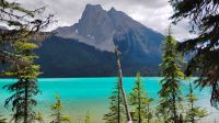 Emerald Lake, Yoho-Nationalpark  &ndash; &copy; Monika Cortese (Eberhardt TRAVEL)