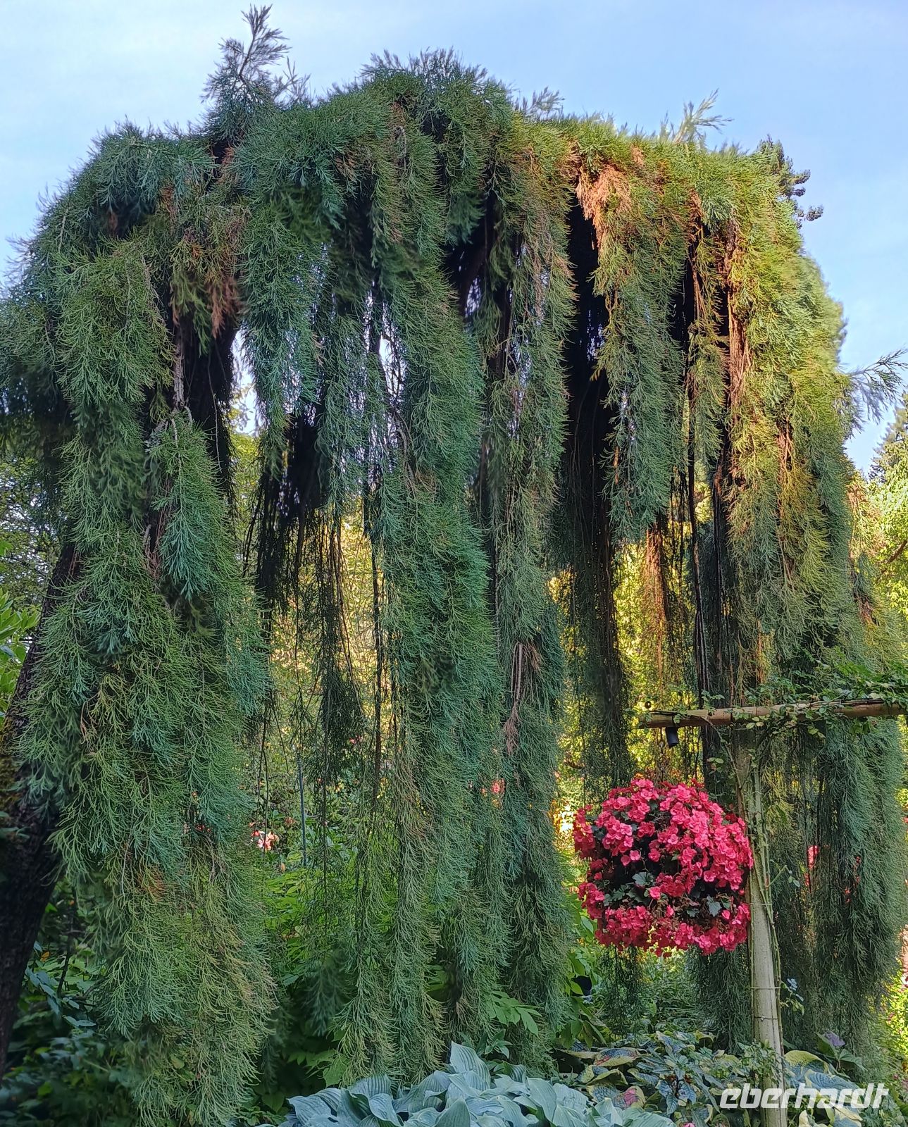 Butchart Gardens &ndash; &copy; Johanna König (Eberhardt TRAVEL)