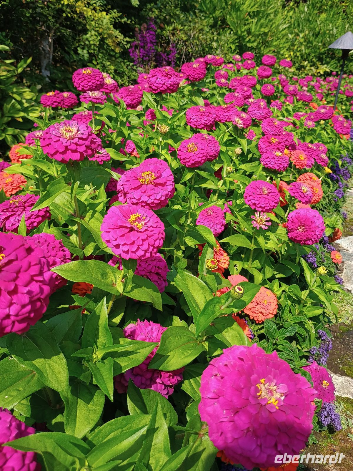 Butchart Gardens &ndash; &copy; Johanna König (Eberhardt TRAVEL)